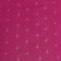 Fucsia Fuchsia